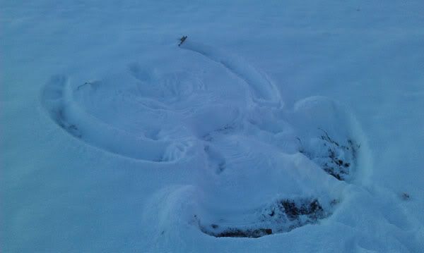 这个应该是Ayleen的